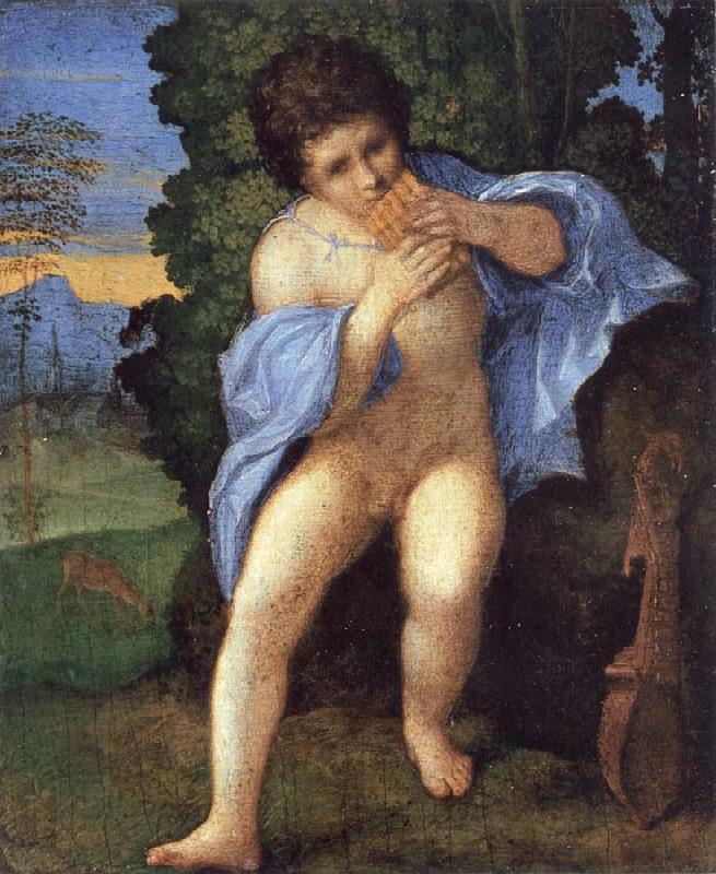 Palma Vecchio Young Faunus Playing the Syrinx oil painting picture